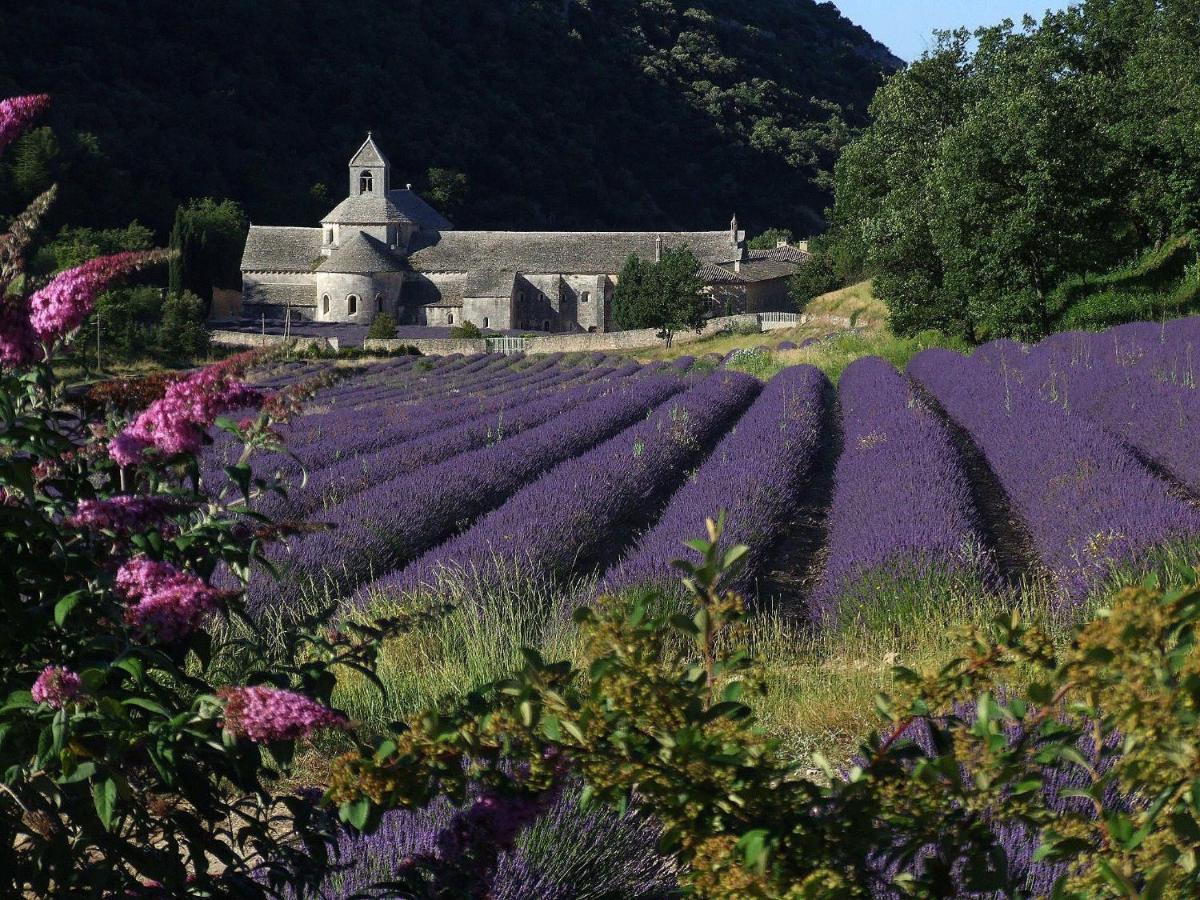 Les Cerises Bed & Breakfast Saint-Saturnin-d'Apt Eksteriør bilde