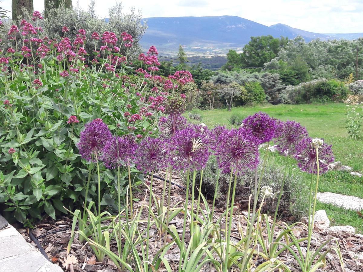 Les Cerises Bed & Breakfast Saint-Saturnin-d'Apt Eksteriør bilde