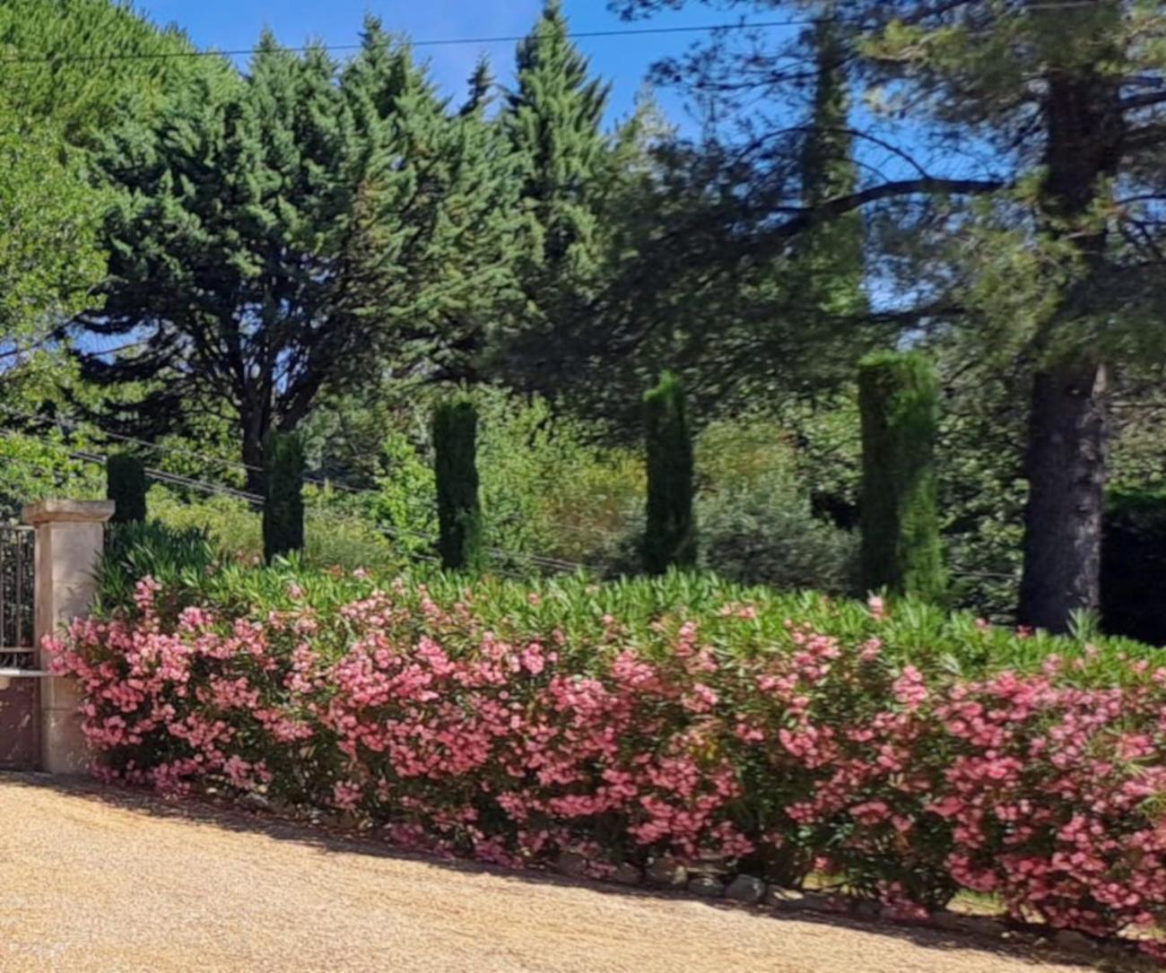 Les Cerises Bed & Breakfast Saint-Saturnin-d'Apt Eksteriør bilde